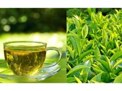 Khám phá những công dụng và lưu ý khi sử dụng trà xanh