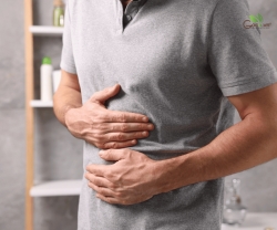 Lá Mơ Lông Có Giúp Giảm Trào Ngược Dạ Dày Không?