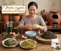 Lá Mơ Lông Với Trứng Gà Có Tác Dụng Gì?