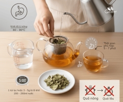 Lá Ổi Có Tác Dụng Gì? Pha Trà Lá Ổi Thế Nào Để Giữ Nhiều Dưỡng Chất