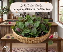 Lá Tía Tô Làm Đẹp Da: Bí Quyết Tự Nhiên Giúp Da Sáng Khỏe