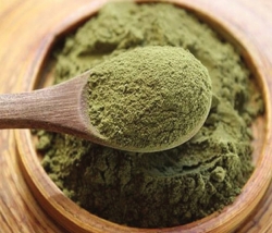 Lý do nên sử dụng bột rau diếp cá trị trĩ cần phải biết