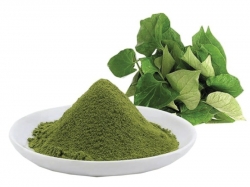 Mặt nạ bột rau diếp cá trị mụn hiệu quả nhiều người làm