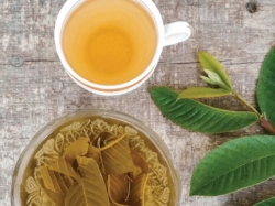 Mẹo giảm cân bằng lá ổi dành cho các chị em