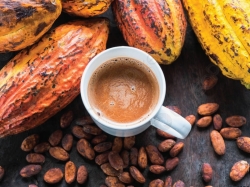 Mua bột ca cao chất lượng cao giá tốt