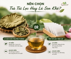 Nên Chọn Trà Túi Lọc Hay Lá Sen Khô