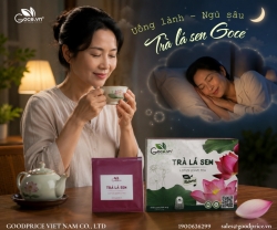 Ngủ Ngon Không Cần Thuốc – Trà Lá Sen Có Gì Đặc Biệt?