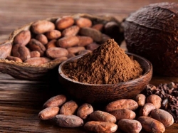 Những công dụng bột ca cao - mua bột ca cao ở đâu uy tín?