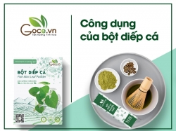 Những công dụng của bột diếp cá bạn nên biết