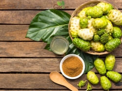 Những công dụng của trái nhàu với sức khỏe?