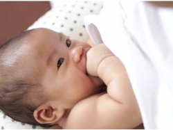 Những thực phẩm lợi sữa chuyên gia khuyên nên ăn thường xuyên