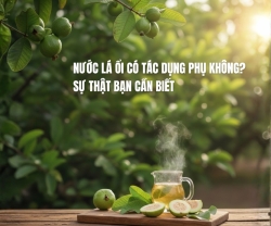 Nước Lá Ổi Có Tác Dụng Phụ Không? Sự Thật Bạn Cần Biết