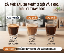 Pha Cà Phê Uống Cả Ngày Có Thực Sự Tiện? Điều Ít Người Để Ý