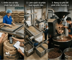 Quy Trình Sản Xuất Cà Phê Chuẩn HACCP Có Gì Đặc Biệt?