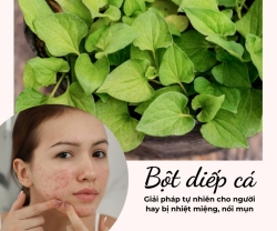 Rau Diếp Cá: Giải Pháp Tự Nhiên Cho Người Nhiệt Miệng, Nổi Mụn