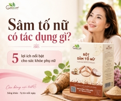 Sâm Tố Nữ Có Tác Dụng Gì? 5 Lợi Ích Nổi Bật Và Cách Sử Dụng Hiệu Quả