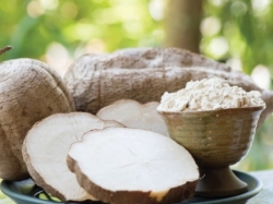 Sâm tố nữ là gì? Sâm tố nữ có tác dụng gì?