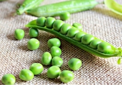 Sống khỏe nhờ đậu Hà Lan