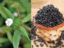 Tác dụng của nước cỏ mực đậu đen có tốt không?