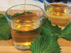 Tác dụng của nước lá tía tô với hệ xương khớp