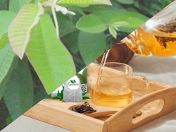 Tác dụng của trà ổi tốt cho sức khoẻ giúp giảm cân