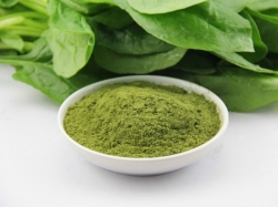 Tác dụng tuyệt vời của cải bó xôi mà bạn chưa biết