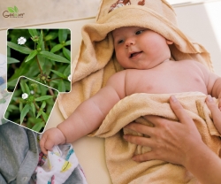 Tắm Nước Cỏ Mực Cho Trẻ Sơ Sinh Có Tốt Không? Cách Làm Và Lưu Ý