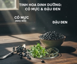 Thành phần dinh dưỡng của cỏ mực (nhọ nồi) và đậu đen