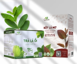 Tiêu Hóa Khỏe Mạnh Nhờ Bột Lá Mơ Và Trà Lá Ổi