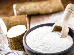 Tinh bột mì là gì? Ứng dụng trong thực phẩm