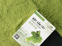 Tổng hợp công dụng của bột cần tây