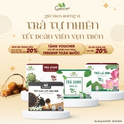 Top 4 loại trà ngon kết hợp cùng với bánh trung thu 
