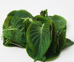 Top 7 Cách Giải Cảm Tại Nhà Không Cần Thuốc – An Toàn, Hiệu Quả