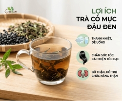 Trà Cỏ Mực Đậu Đen Có Gì Khác So Với Trà Thường?