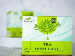 Trà đinh lăng uống mỗi ngày có tốt không? 