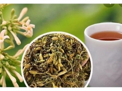 Trà hoa đu đủ đực có công dụng gì? Những lưu ý khi sử dụng trà đu đủ đực