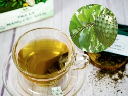 Trà lá mãng cầu xiêm lợi ích không ngờ cho sức khoẻ