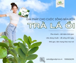 Trà Lá Ổi Túi Lọc – Tiện Lợi Cho Người Bận Rộn