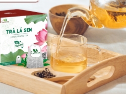 Trà lá sen có tác dụng gì? Dùng nhiều có tốt không?