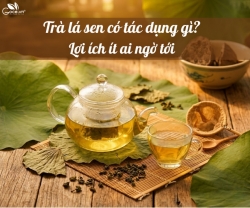Trà lá sen có tác dụng gì? Những lợi ích ít ai ngờ tới