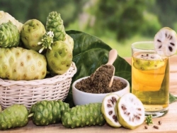 Trà nhàu là gì? Cách làm và công dụng của trà nhàu