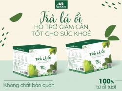 Trà ổi giảm cân giúp thanh lọc an toàn sức khoẻ