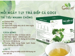 Trà rau diếp cá túi lọc thanh lọc tốt cho cơ thể
