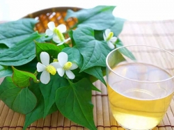 Trà rau diếp cá - uống nhiều trà diếp cá có tốt không?