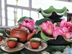 Trà sen có tác dụng? Kiến thức sức khỏe