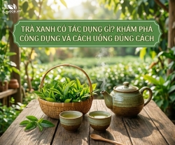 Trà Xanh Có Tác Dụng Gì? Khám Phá Công Dụng Và Cách Uống Đúng Cách