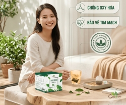 Trà Xanh Túi Lọc GOCE Có Gì Khác Biệt?