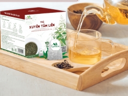 Trà xuyên tâm liên có tác dụng gì