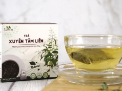 Trà Xuyên Tâm Liên: Hỗ Trợ Sức Đề Kháng – Bảo Vệ Sức Khỏe Gia Đình Mùa Dịch Bệnh Giao Mùa