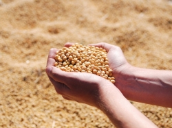 Uống Bột Đậu Nành Có Tăng Cân Không?